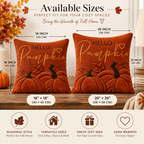 Hello Pumpkin Fall Embroidered Throw Pillow Cover – Autumn Harvest Décor- pack of 2