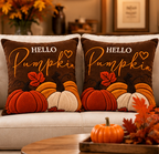 Hello Pumpkin Fall Embroidered Throw Pillow Cover – Autumn Harvest Décor- pack of 2