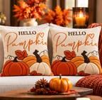 Hello Pumpkin Fall Embroidered Throw Pillow Cover – Autumn Harvest Décor- pack of 2