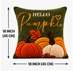 Hello Pumpkin Fall Embroidered Throw Pillow Cover – Autumn Harvest Décor- pack of 2